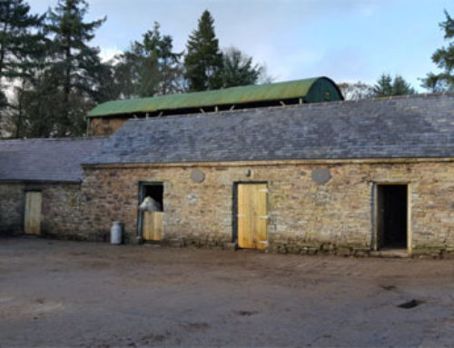 Traditional farm buildings