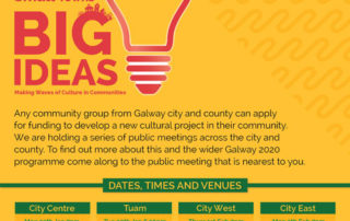 Galway 2020 Small Towns Bid Ideas Programme