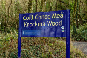 Additional Walking trail at Knockma open to the public