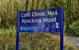 Additional Walking trail at Knockma open to the public