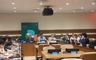 REPRESENTING IRELAND AT THE UNITED NATIONS HIGH LEVEL POLITICAL FORUM