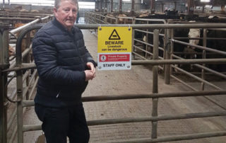 €50 MILLION SUPPORT FOR BEEF FARMERS