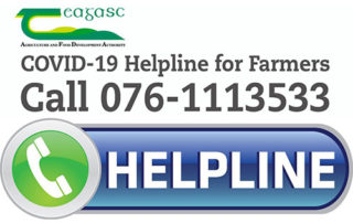 COVID-19 TEAGASC HELPLINE