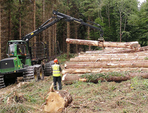 Minister Canney encourages forestry sector to apply for Sustainable Forest Harvesting Machinery Grant