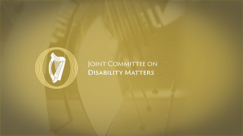 Joint Committee on Disability Matters to discuss ‘Nothing about us without us’