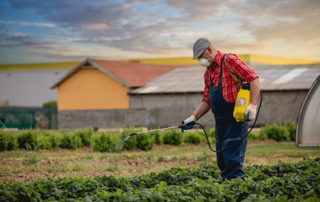 Think twice about pesticide use