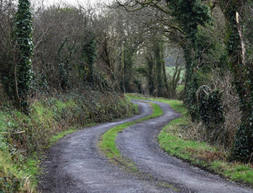 Minister Seán Canney Welcomes €843,137 in Additional Funding for Rural Roads and Laneways in Galway
