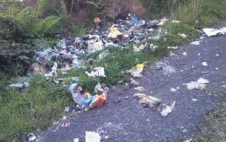 Urges the Minister for Environment to fast-track legislation to use CCTV in detecting and prosecuting illegal dumping