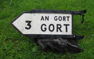 Welcome the allocation of Funding for the regeneration of Gort Town Centre from the Rural Regeneration Development Fund