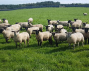 Proposals by the Department of Agriculture to push out payment dates for support schemes for farmers is unacceptable.