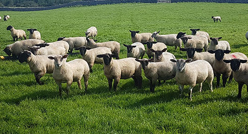 Proposals by the Department of Agriculture to push out payment dates for support schemes for farmers is unacceptable.