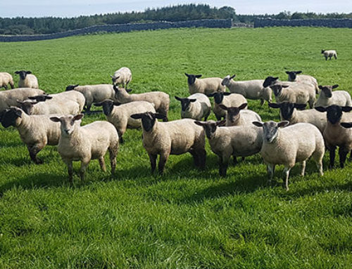 Proposals by the Department of Agriculture to push out payment dates for support schemes for farmers is unacceptable