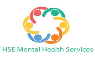 Interim Report on Child and Adolescent Mental Health Services is a damning indictment of the crisis in mental health services