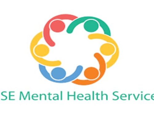 Interim Report on Child and Adolescent Mental Health Services is a damning indictment of the crisis in mental health services.