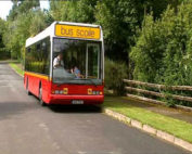 Regional Group of TDs Demands Government Action to Overhaul School Transport Scheme