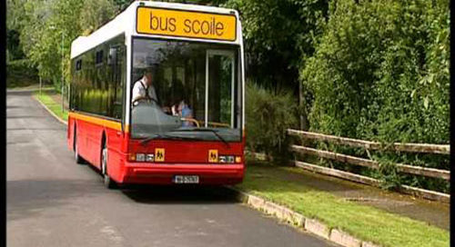 Regional Group of TDs Demands Government Action to Overhaul School Transport Scheme