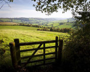 Government needs to build trust with farmers on the issue of Designations and the Farm Plan Scheme