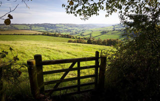 Government needs to build trust with farmers on the issue of Designations and the Farm Plan Scheme