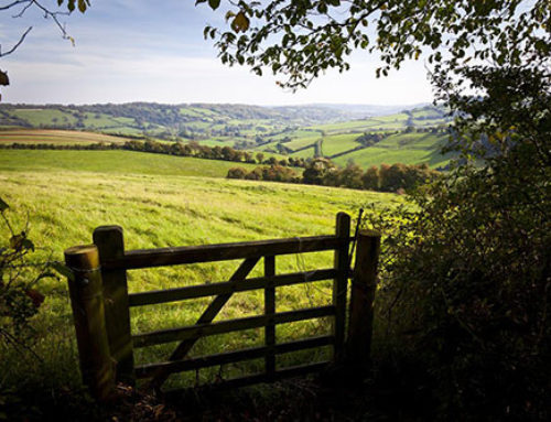 Government needs to build trust with farmers on the issue of Designations and the Farm Plan Scheme