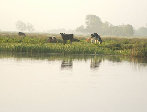 Minister Canney welcomes Force Majeure for ACRES Geese and Swans action
