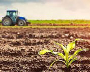 Regional Group of TDs Champion Farming Protections ahead of Nature Restoration Law Vote