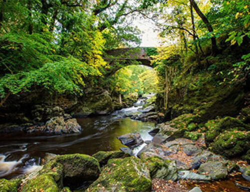 Minister Canney welcomes €76,000 investment for Monivea Forest as part of €3.13 million national programme