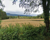 ACRES not delivering for farmers.