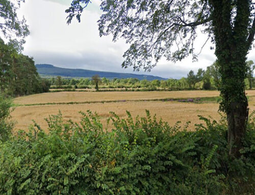 Minister Canney: Three-Year Nitrates Derogation Proposal a Vital Step for Farmers