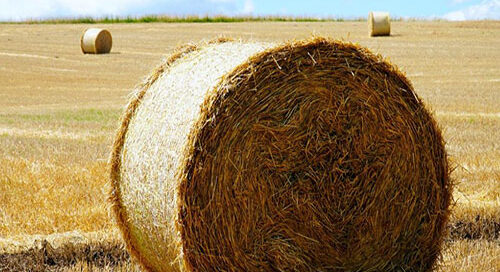 Welcomes Government announcing €1.9 million of payments under the Baling Assistance Payment (BAP).