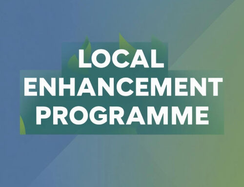 Over €90,000 in Funding for Galway East Community Groups Under Local Enhancement Programme 2025