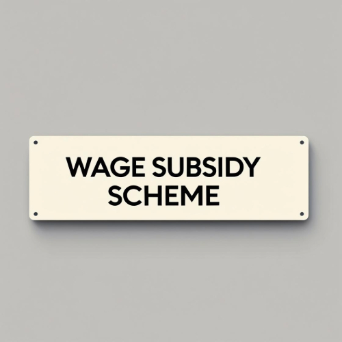 Minister Seán Canney Welcomes Reformed Wage Subsidy Scheme to Support Disabled People into Employment